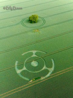 aerial of Ditcheat