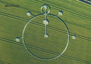 aerial of Yarnbury Castle from tt