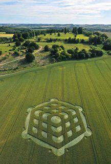 diagram of Danebury Hill from tt