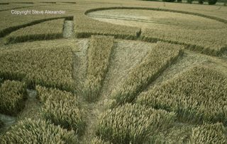 aerial of Figsbury Rings from tt