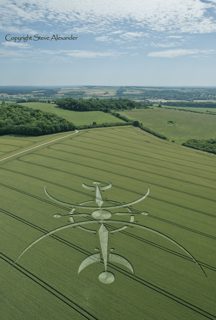 aerial of Clearbury Ring from tt