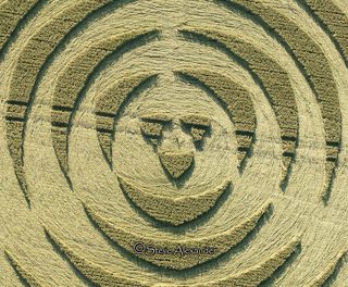 aerial of Winterbourne Bassett from tt