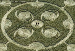 aerial of Kingweston