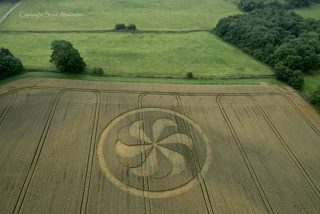 aerial of Marden Henge