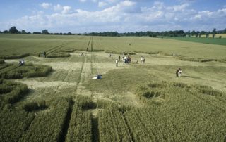 other of Silbury Hill from tt