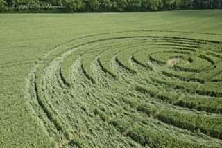 aerial of Tichborne from tt
