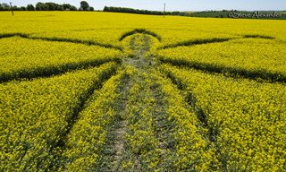 aerial of Willoughby Hedge from tt