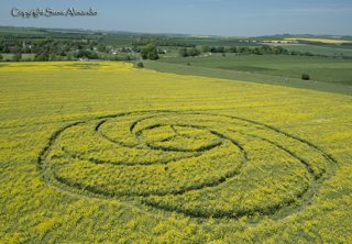 aerial of Waden Hill from tt