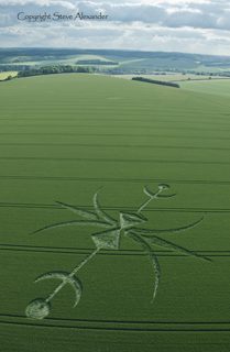 aerial of Stoford from tt