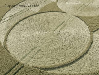 aerial of Fairfold from tt