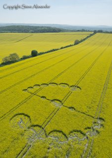 aerial of Willoughby Hedge from tt