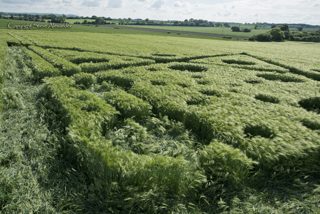 aerial of Broad Hinton from tt
