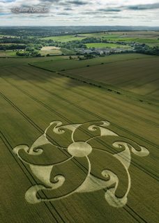 aerial of Etchilhampton from tt