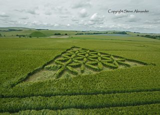 aerial of Waden Hill from tt