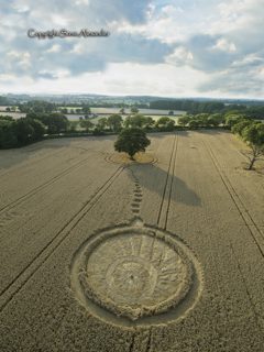 aerial of Wotton Wawen from tt