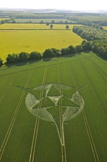 aerial of Savernake Forest from tt