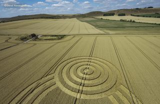 aerial of Tawesmead Copse from tt
