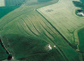 aerial of Pewsey White Horse from tt