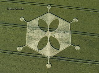 aerial of Yarnbury Castle from tt