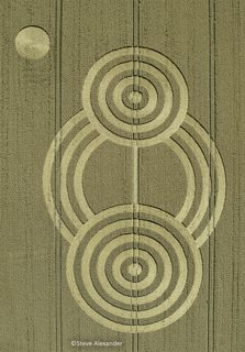 aerial of Tawesmead Copse from tt