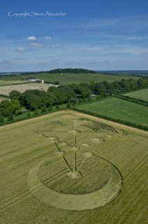 aerial of Badbury Rings from tt