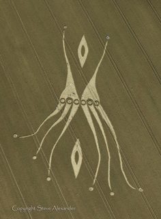 aerial of East Kennett