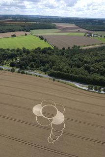 aerial of Hens Wood