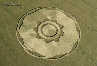 aerial of Longwood Warren from tt