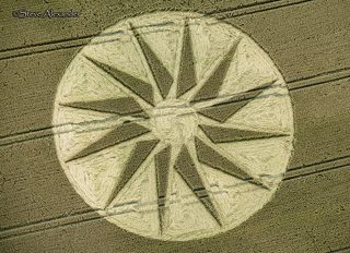 aerial of Westbury White Horse from tt