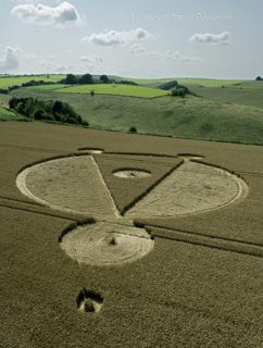 aerial of East Kennett from tt