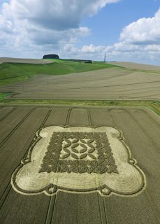 aerial of Morgans Hill from tt