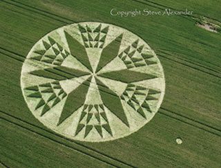 aerial of Burrow Hill Fort from tt