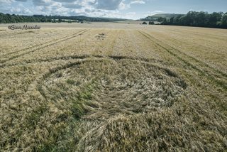 aerial of Norridge Wood from tt