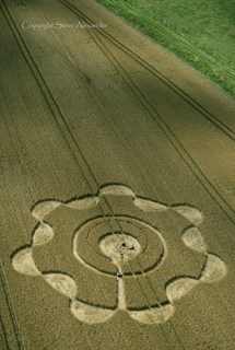 aerial of Avebury from tt