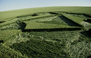 other of Bishop Cannings Down