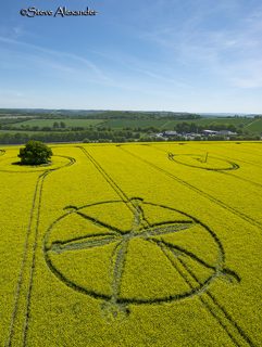 aerial of Willoughby Hedge from tt
