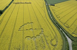 aerial of Willoughby Hedge from tt