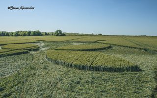 aerial of Yarnbury Castle from tt
