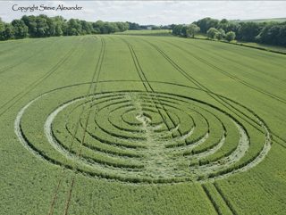 aerial of Tichborne from tt