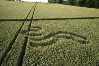 aerial of Rollright Stones from tt