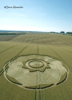 aerial of Longwood Warren from tt