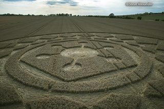 aerial of Roundway Hill from tt