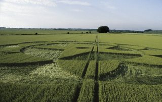 other of Avebury Trusloe