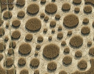 aerial of Mere from tt