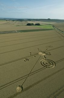 aerial of Roundway Hill from tt