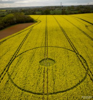 aerial of Wimborne Minster