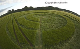 other of Marlborough from tt