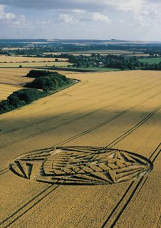 aerial of Allington Down