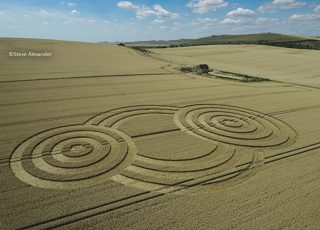 aerial of Tawesmead Copse from tt