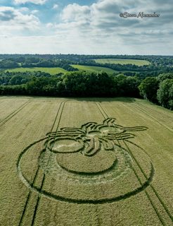 aerial of Sparticles Wood from tt